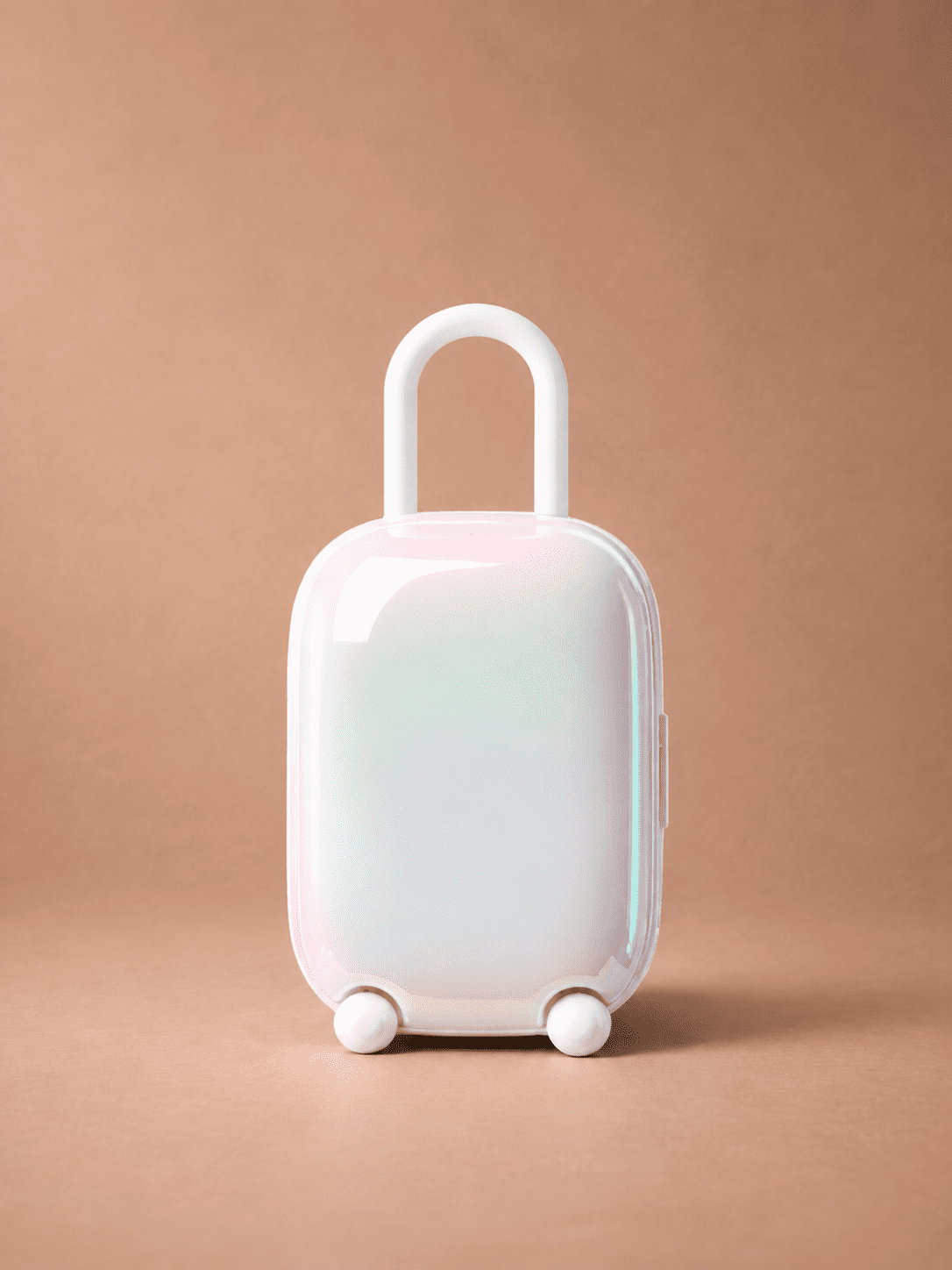The Luggage