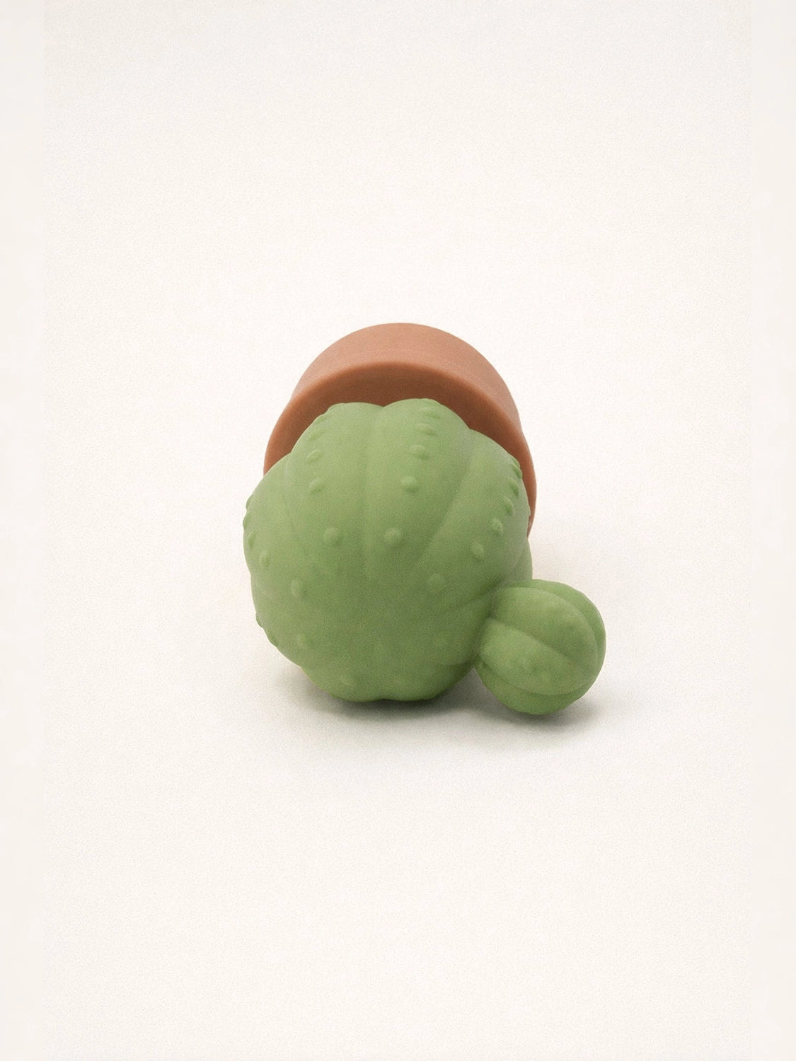 The Cactus
