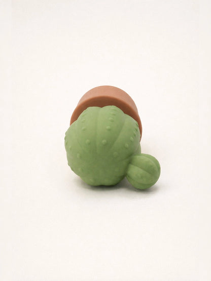 The Cactus