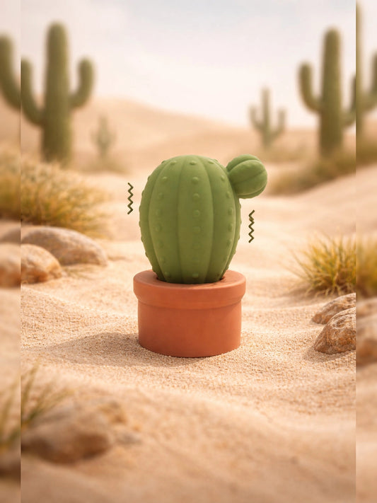 The Cactus
